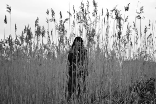 Free Moody black and white portrait of a woman standing in tall reeds, evoking solitude. Stock Photo