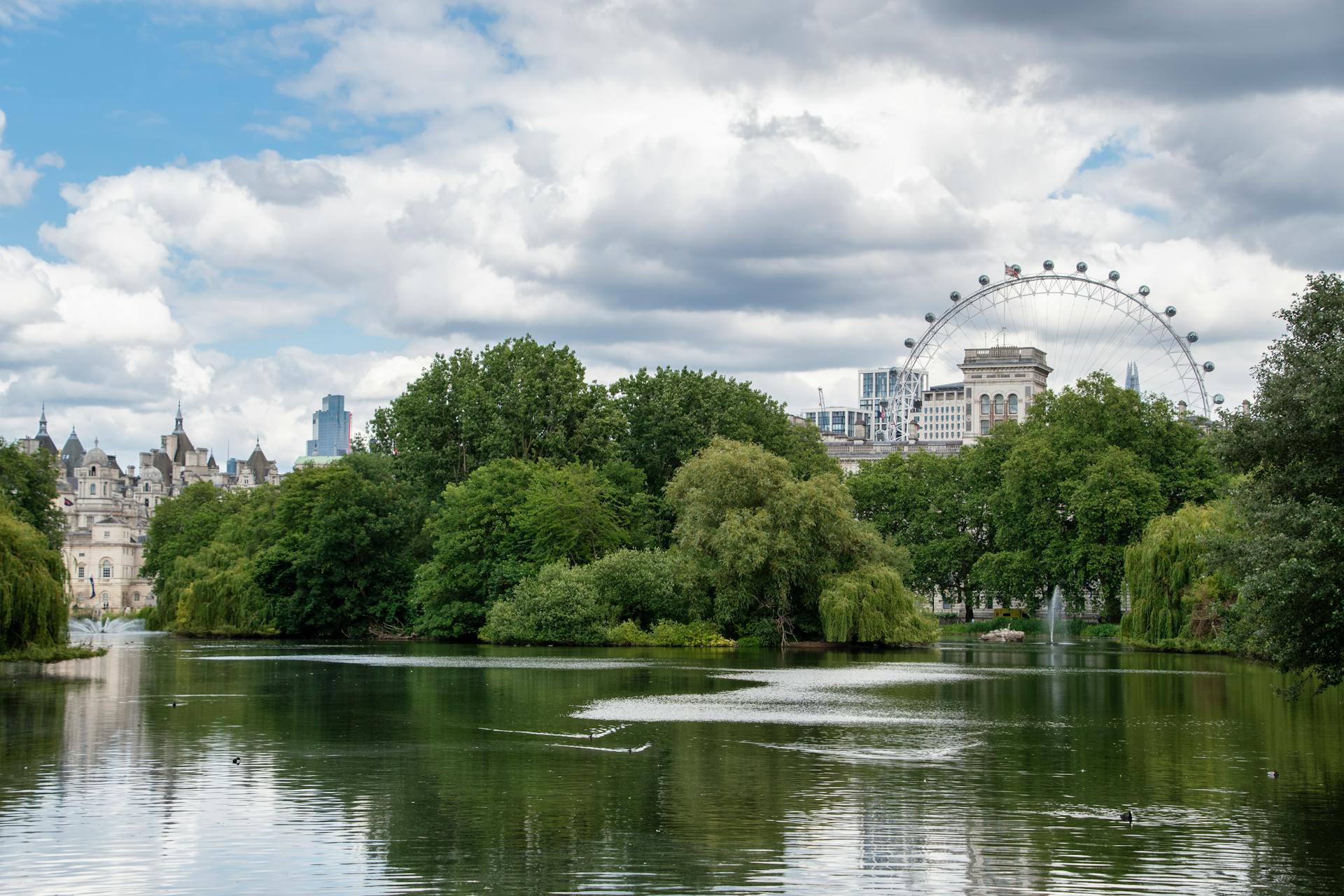 Trees by Thames in London