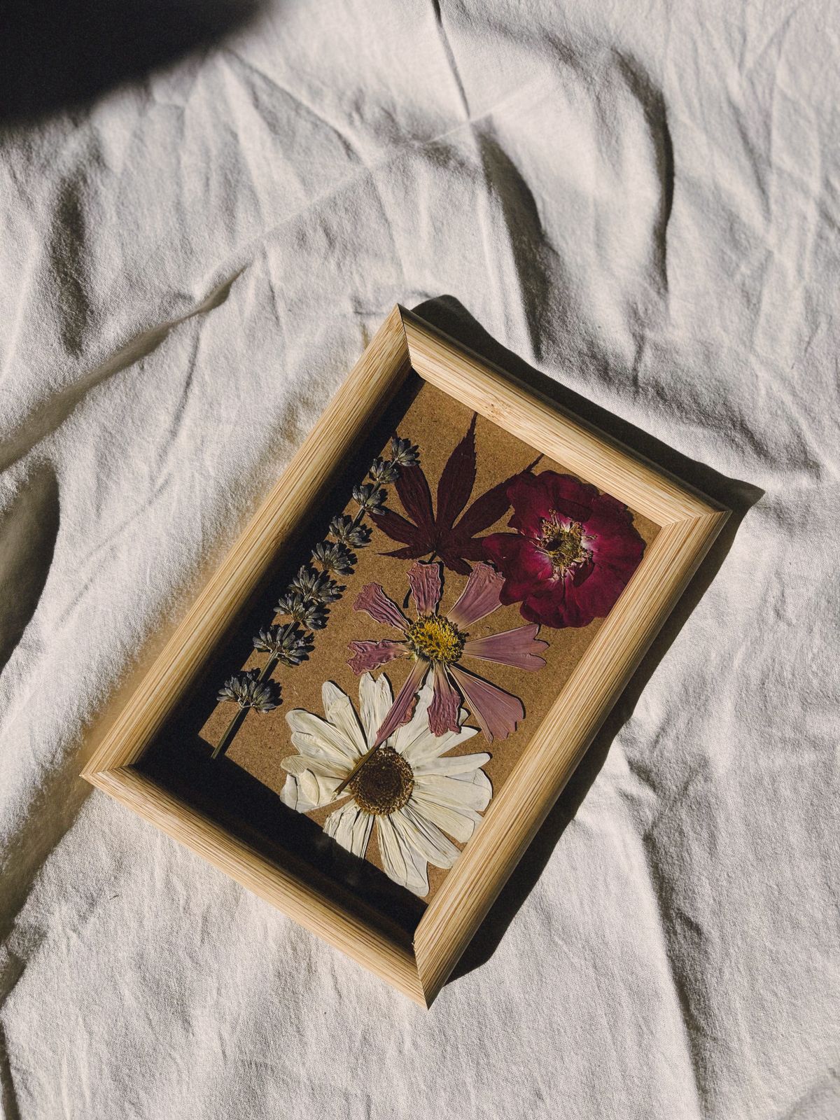 Imagen editorial de inspiración para la colección