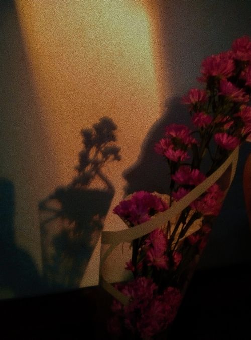 Free The shadow of girl Stock Photo