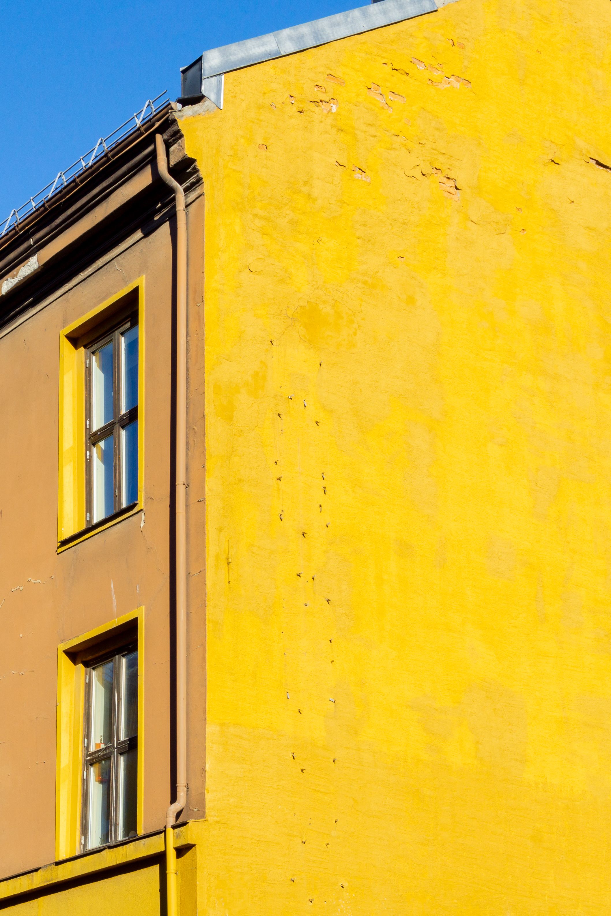 Vibrant yellow wall and windows on a sunny day in Oslo, Norway.