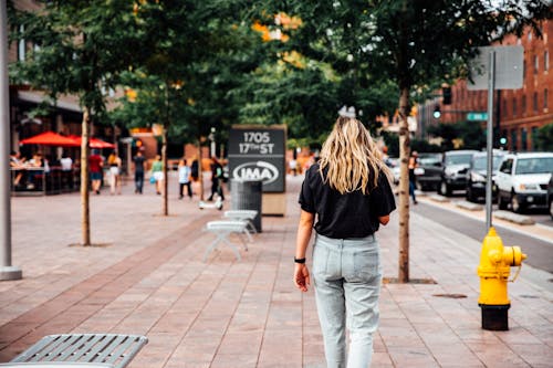 Free stock photo of city, person, trees