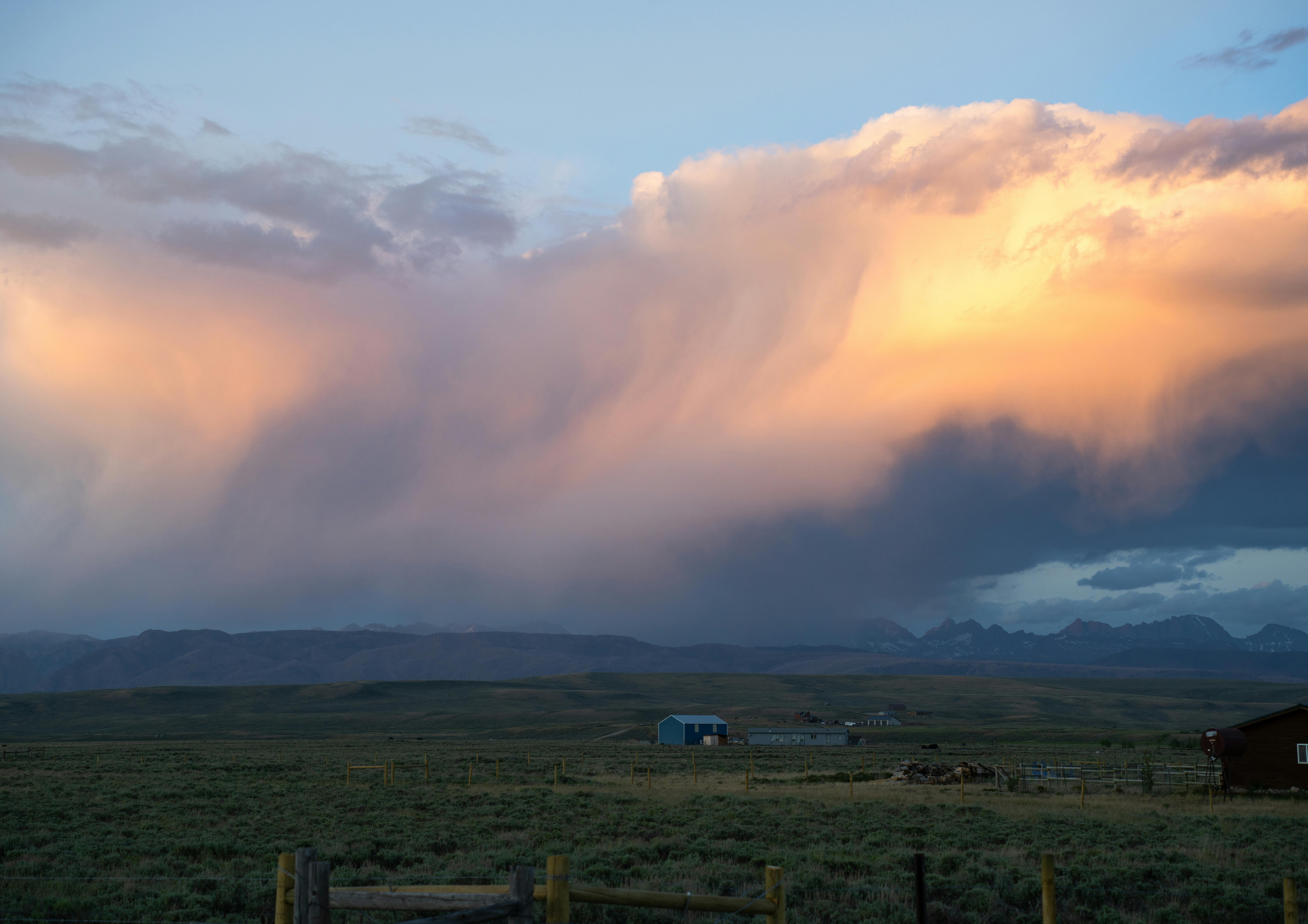 Wyoming, Montana attorneys general accuse big tech companies of greenwashing — Photo by Alex Moliski on Pexels