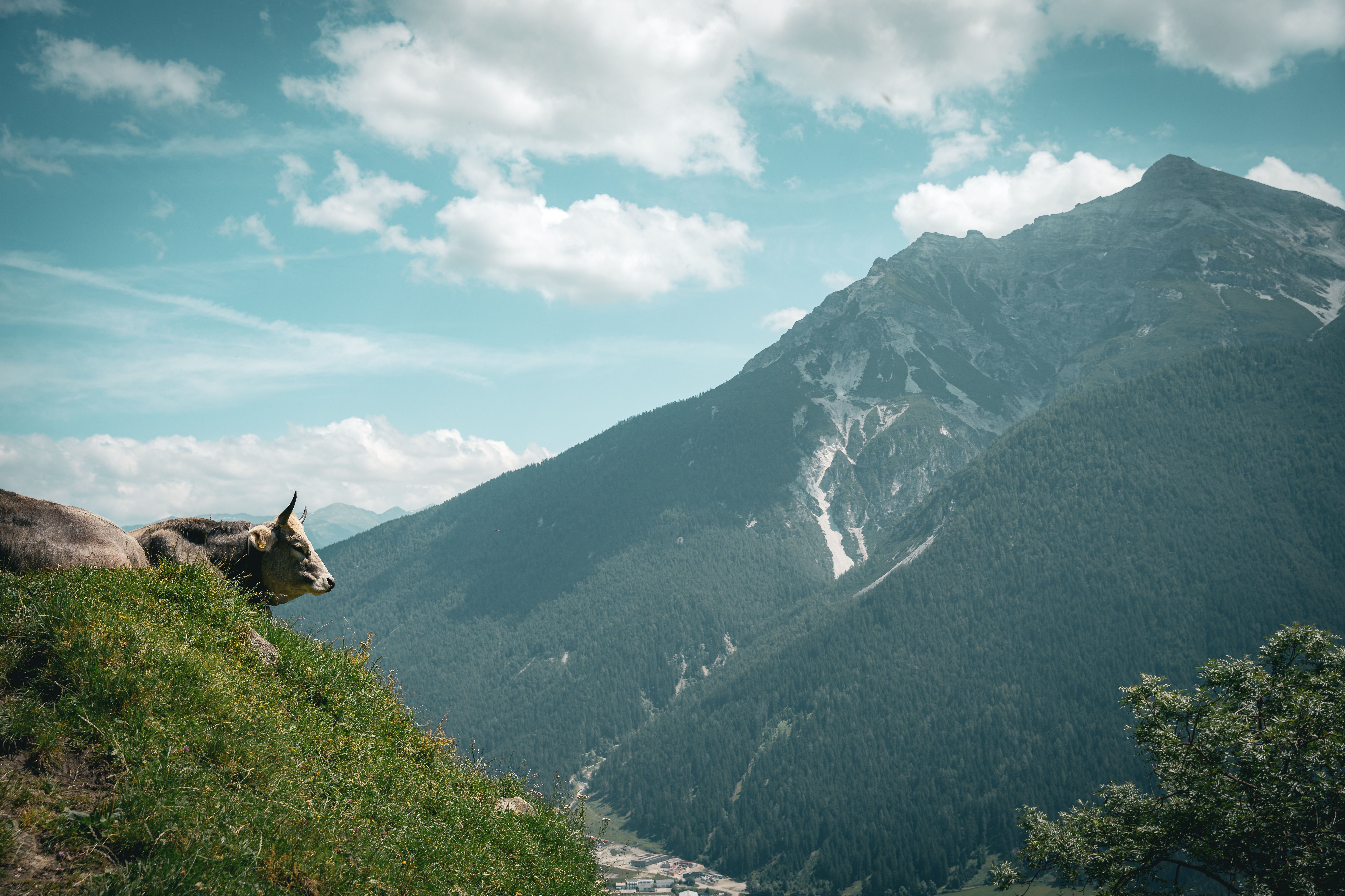 Neustift im Stubaital