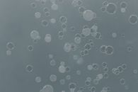 Water Droplets on Glass Panel