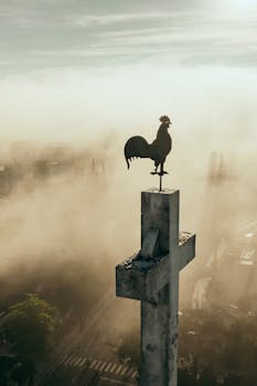 A rooster weather vane perches on a cross engulfed in misty fog in Đà Lạt, Vietnam.