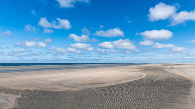 Expansive sandy beach in Røm, Denmark with vibrant blue sky and ocean view.