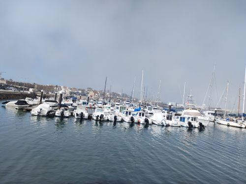 Free boat in the port of peniche Stock Photo
