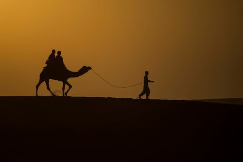 Two Person Riding in a Camel Guided by a Person