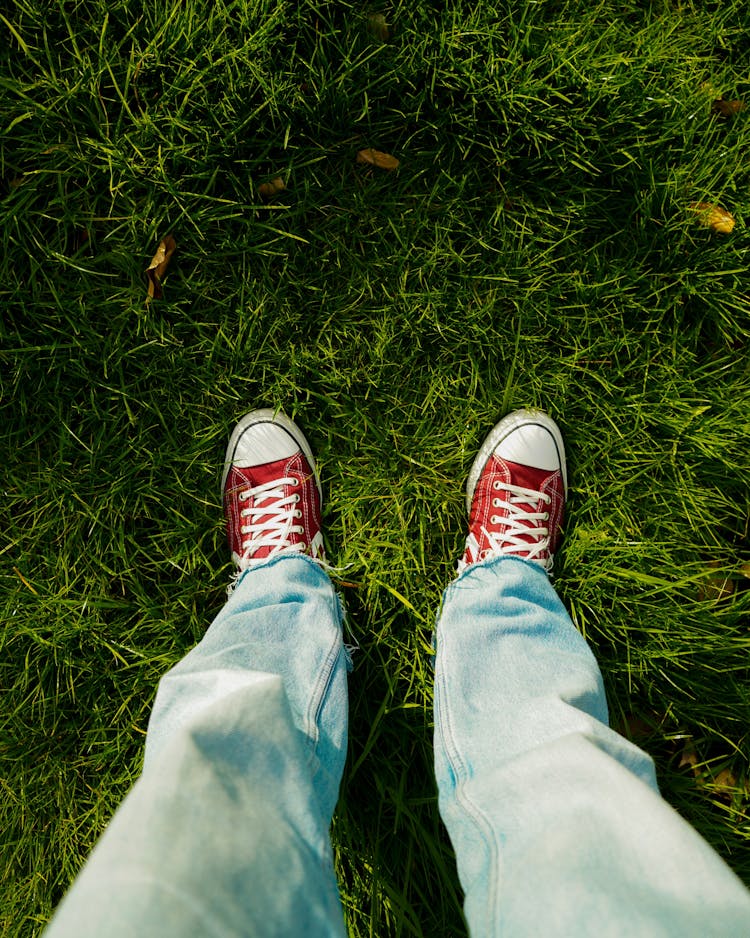 Legs Of Person Standing On Grass