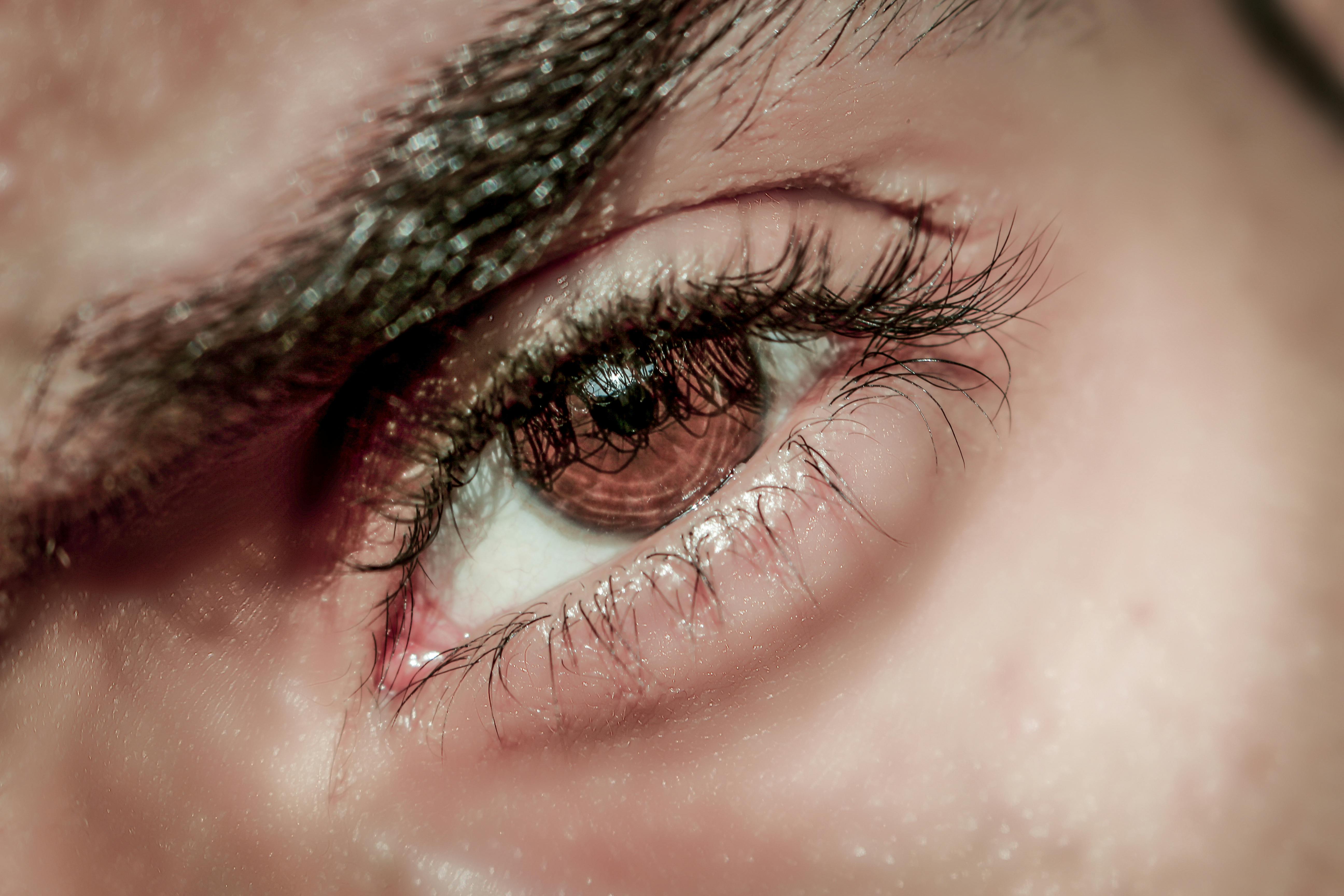 Human Eye Close Up Photography Free Stock Photo   Pexels Photo 2707685 