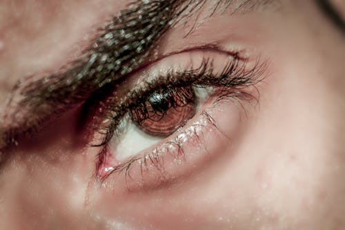 Human Eye Close-up Photography