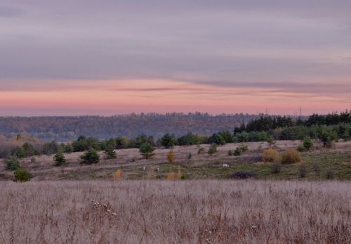 Free A quiet rural landscape at sunset, displaying gentle hues over a field and distant trees. Stock Photo