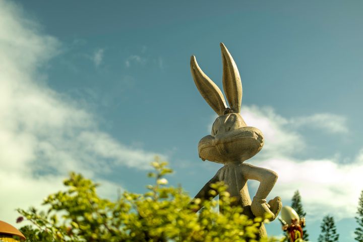 American Blue Rabbit: Traits, Behavior, and Breeding Guide