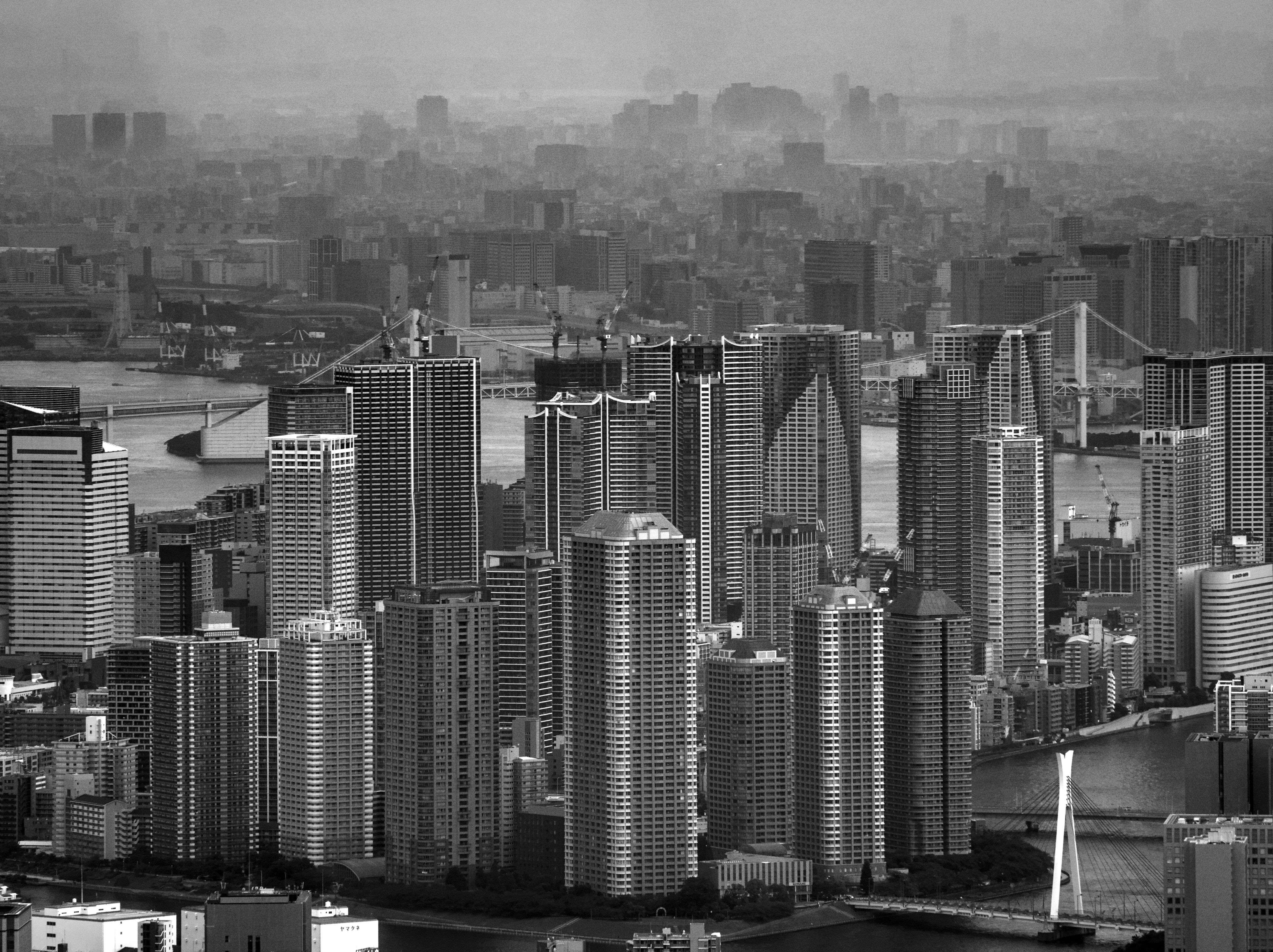 Monochrome cityscape of Tokyo featuring skyscrapers and urban landscape.