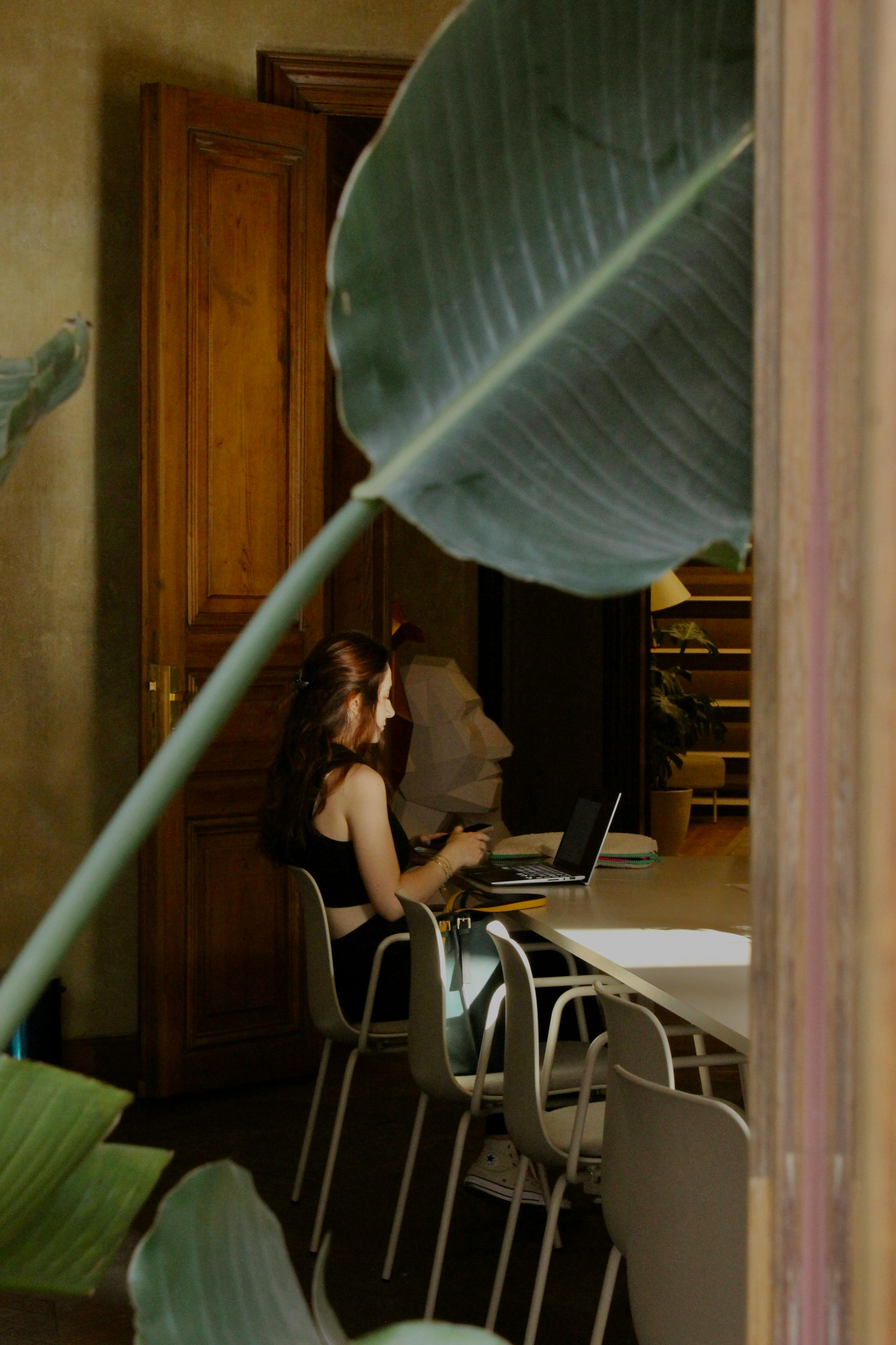 Candid shot of woman working on laptop at home, viewed through large plant leaves.
