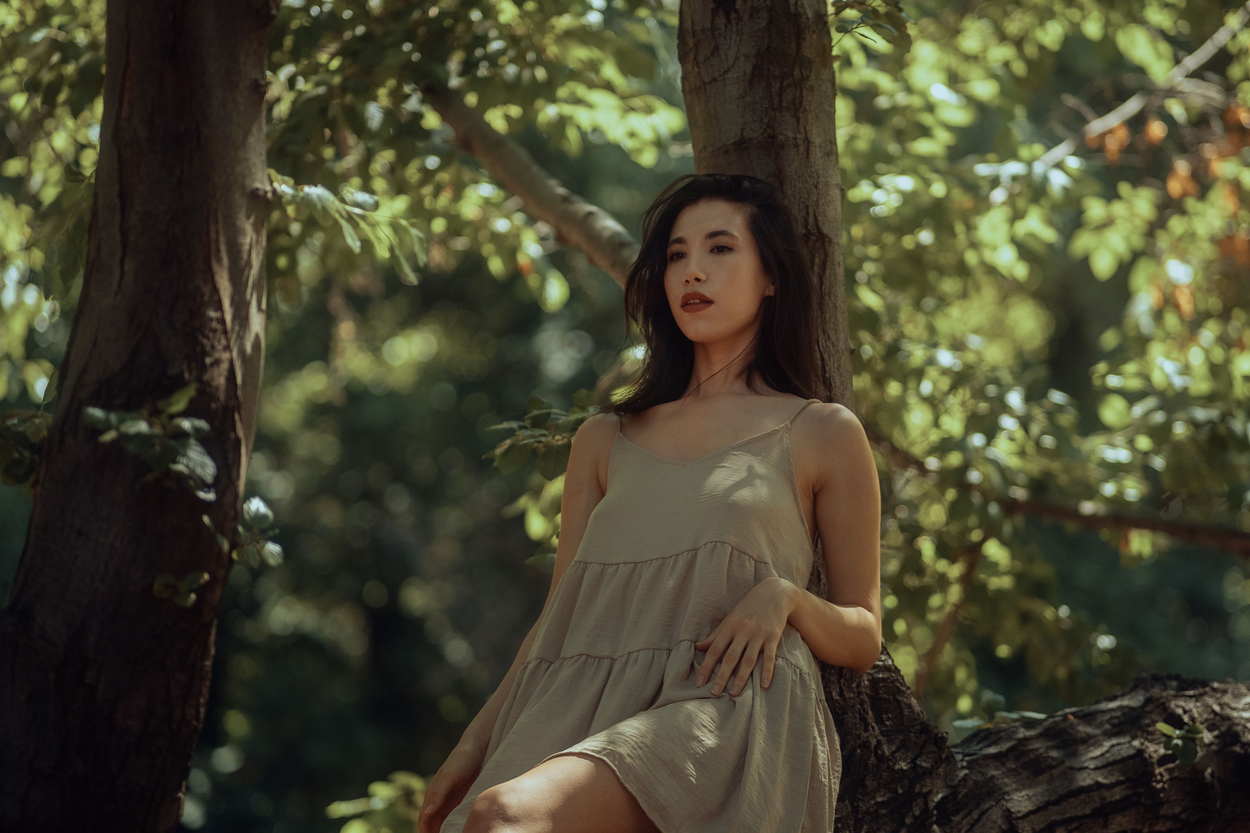 A Young Woman in a Dress sitting on a Tree Branch · Free Stock Photo