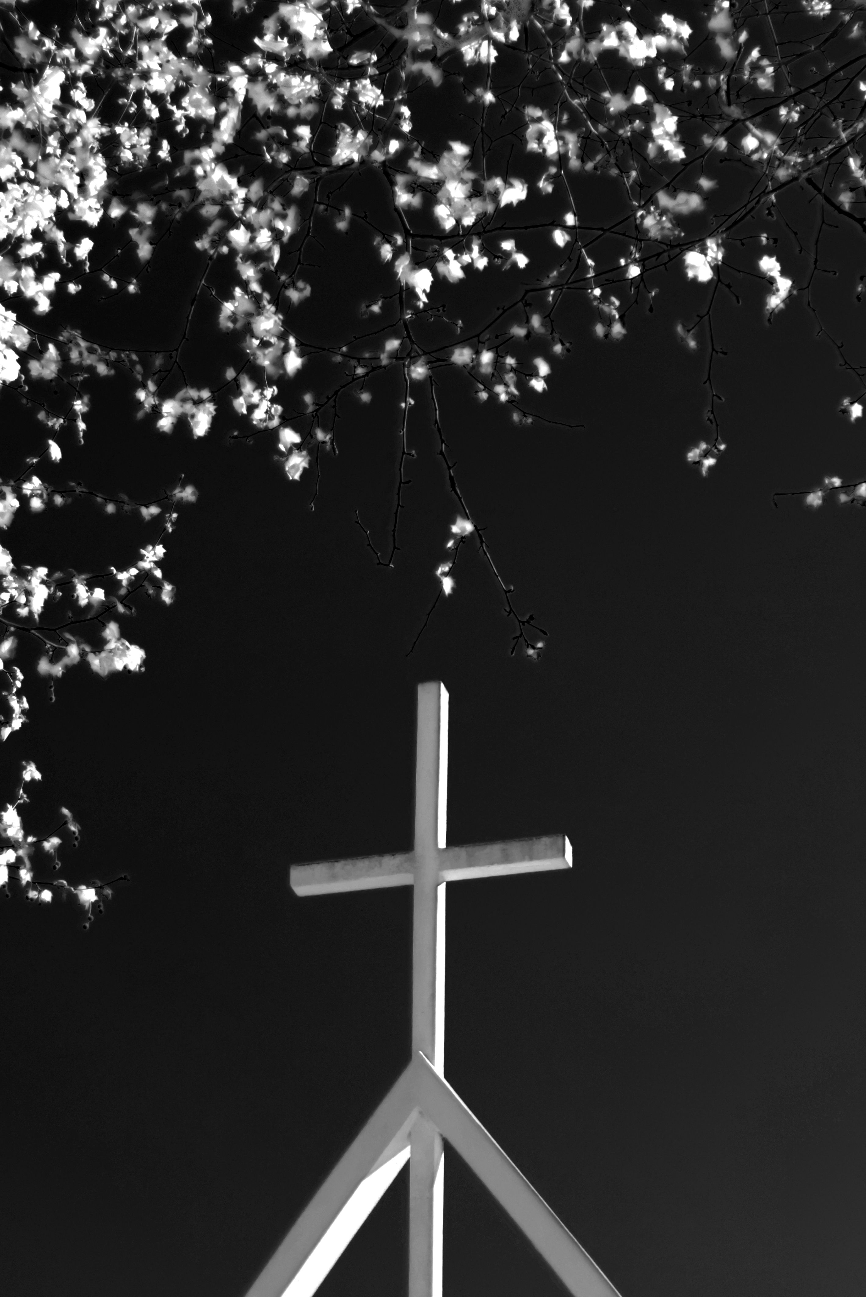 Close-up of the Cross under Tree Branches with Flowers · Free Stock Photo