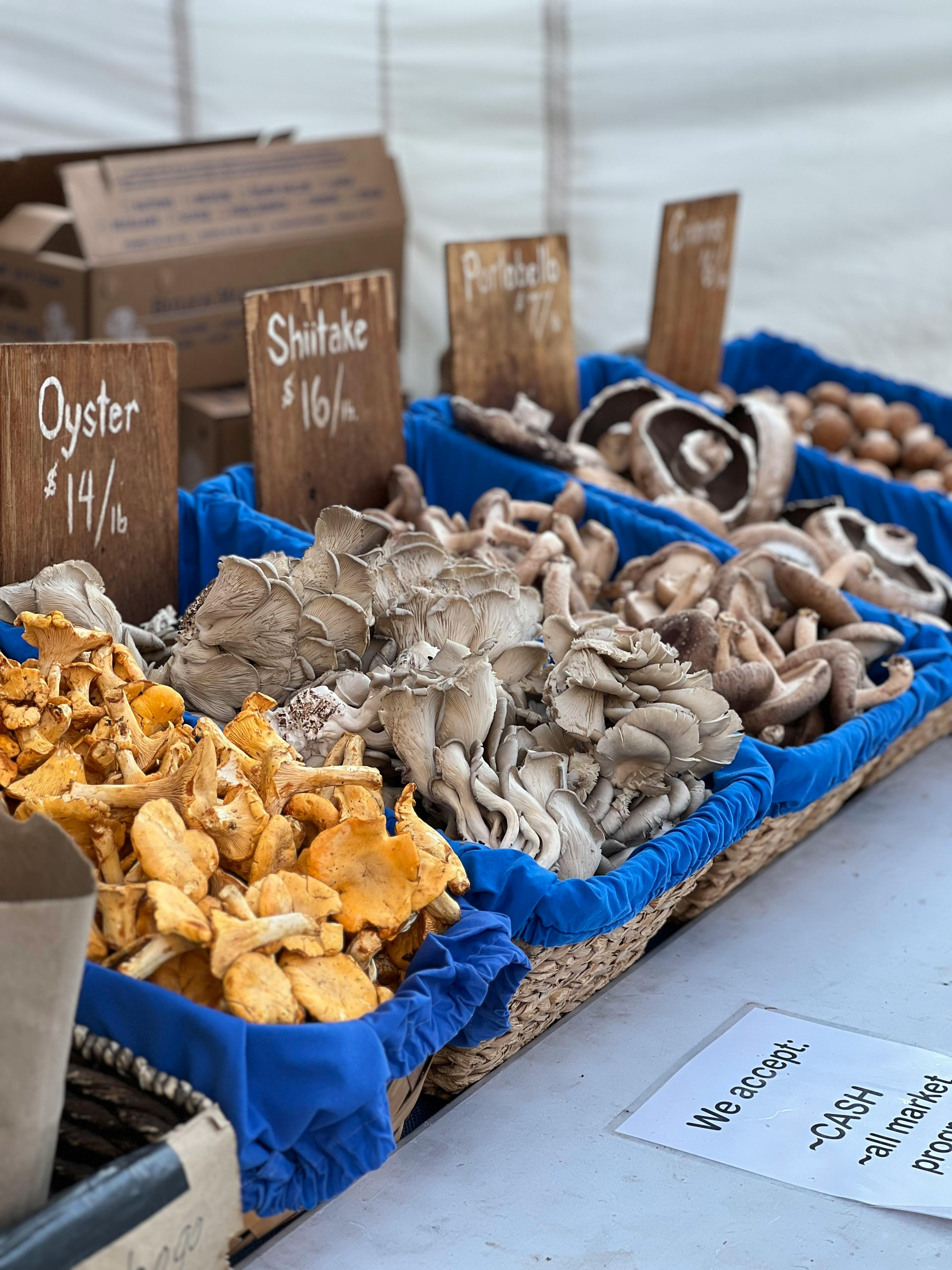 Assorted fresh mushrooms displayed at a local market with price tags. Perfect for healthy cooking.
