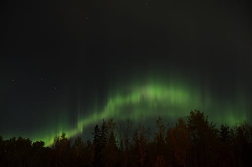 คลังภาพถ่ายฟรี ของ borealis, กลางคืน, กลางแจ้ง
