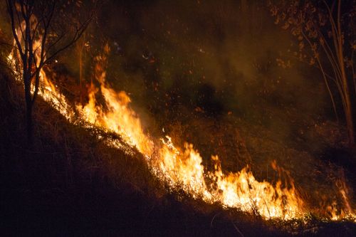 Free A dramatic night scene of a wildfire spreading through dry grass in São Paulo, Brazil. Stock Photo
