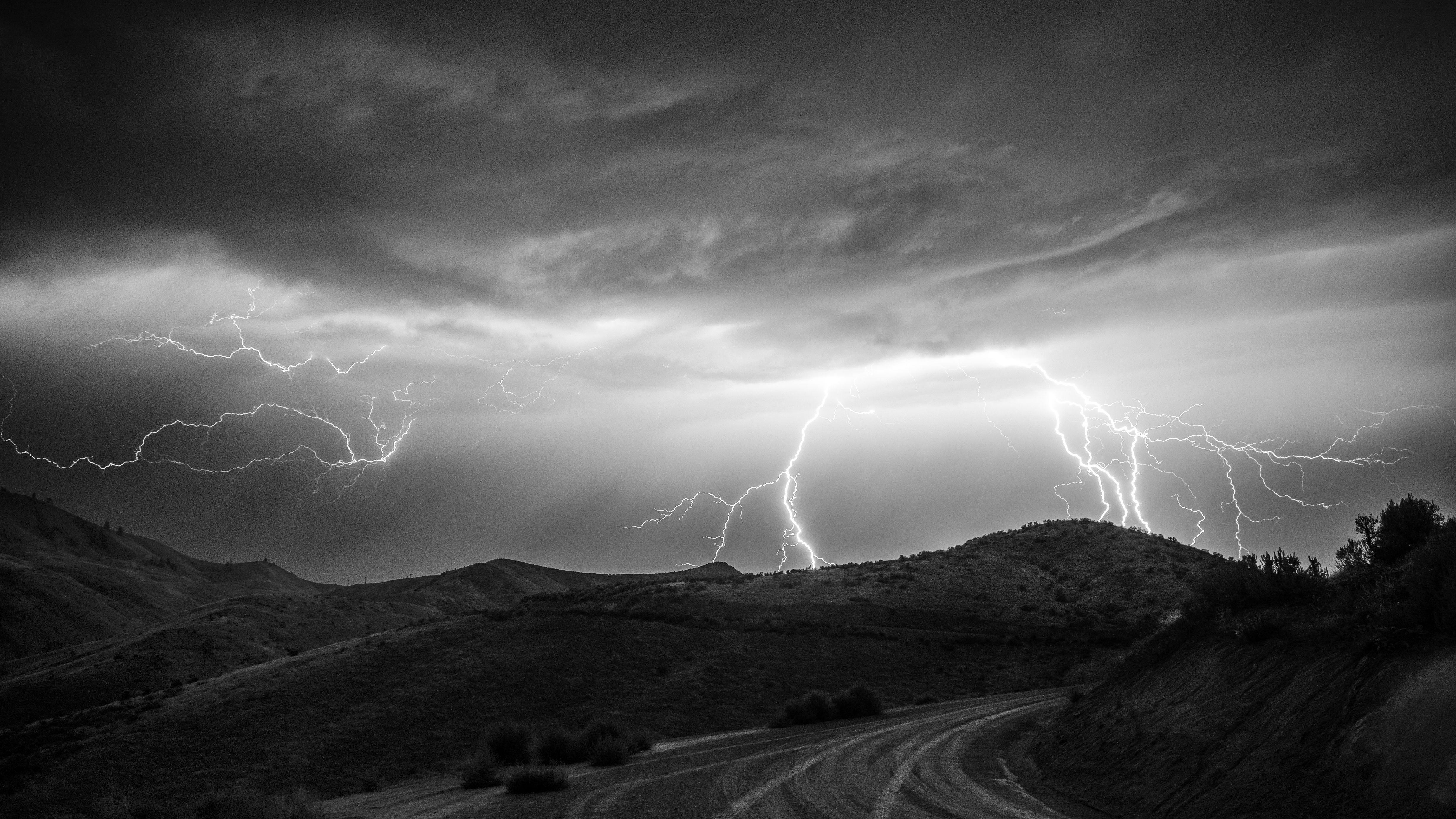 Aftermath of a lightning strike on a trail