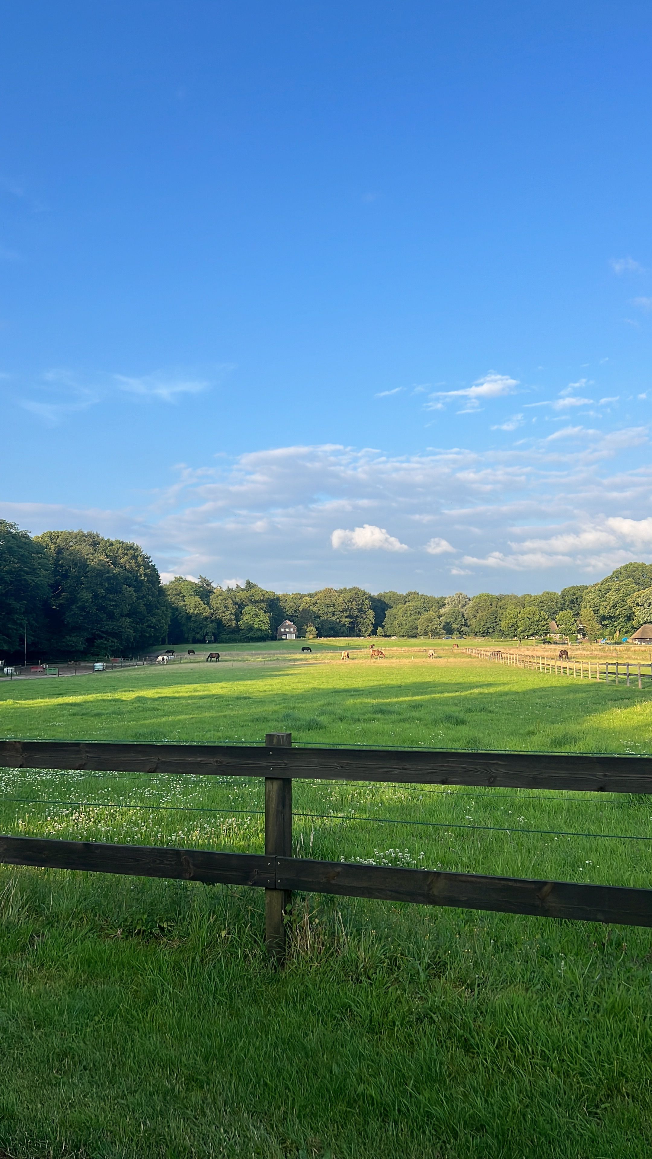 Weekendje weg met kinderen