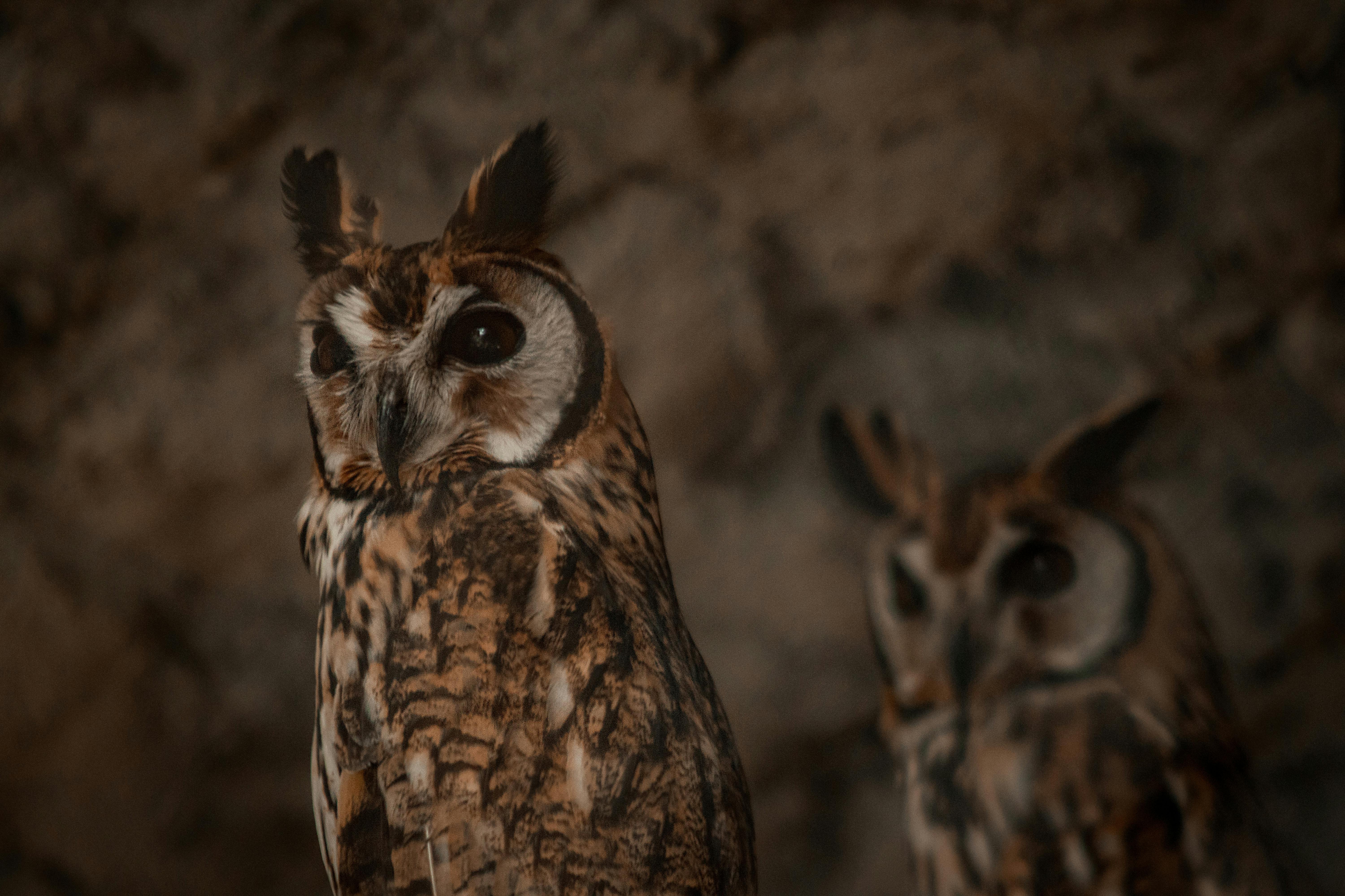 Landmarks in Tuxtla Gutiérrez