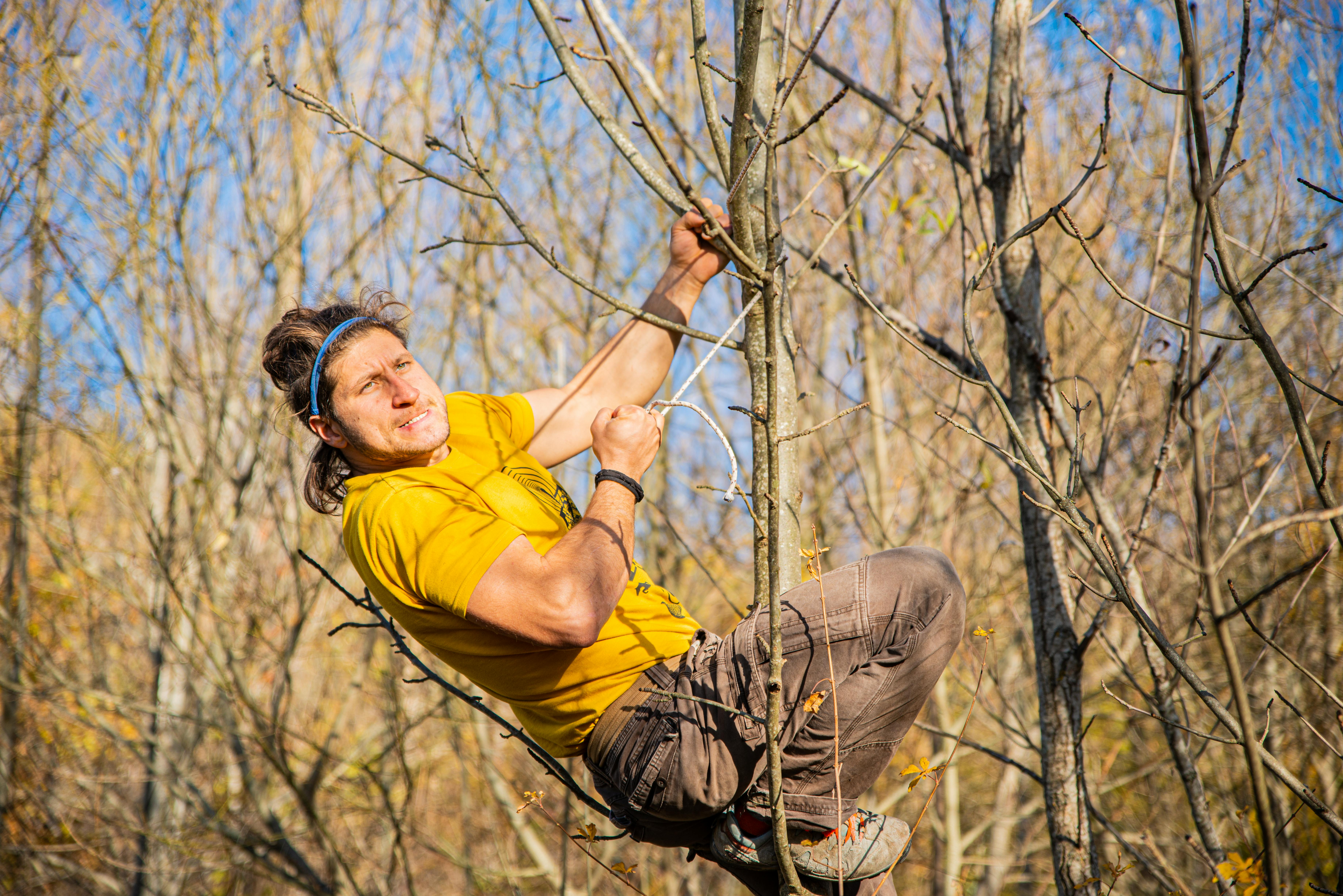 Activist climbs 15-metre spruce to save bird's nest, forcing Estonian Environment Agency response
