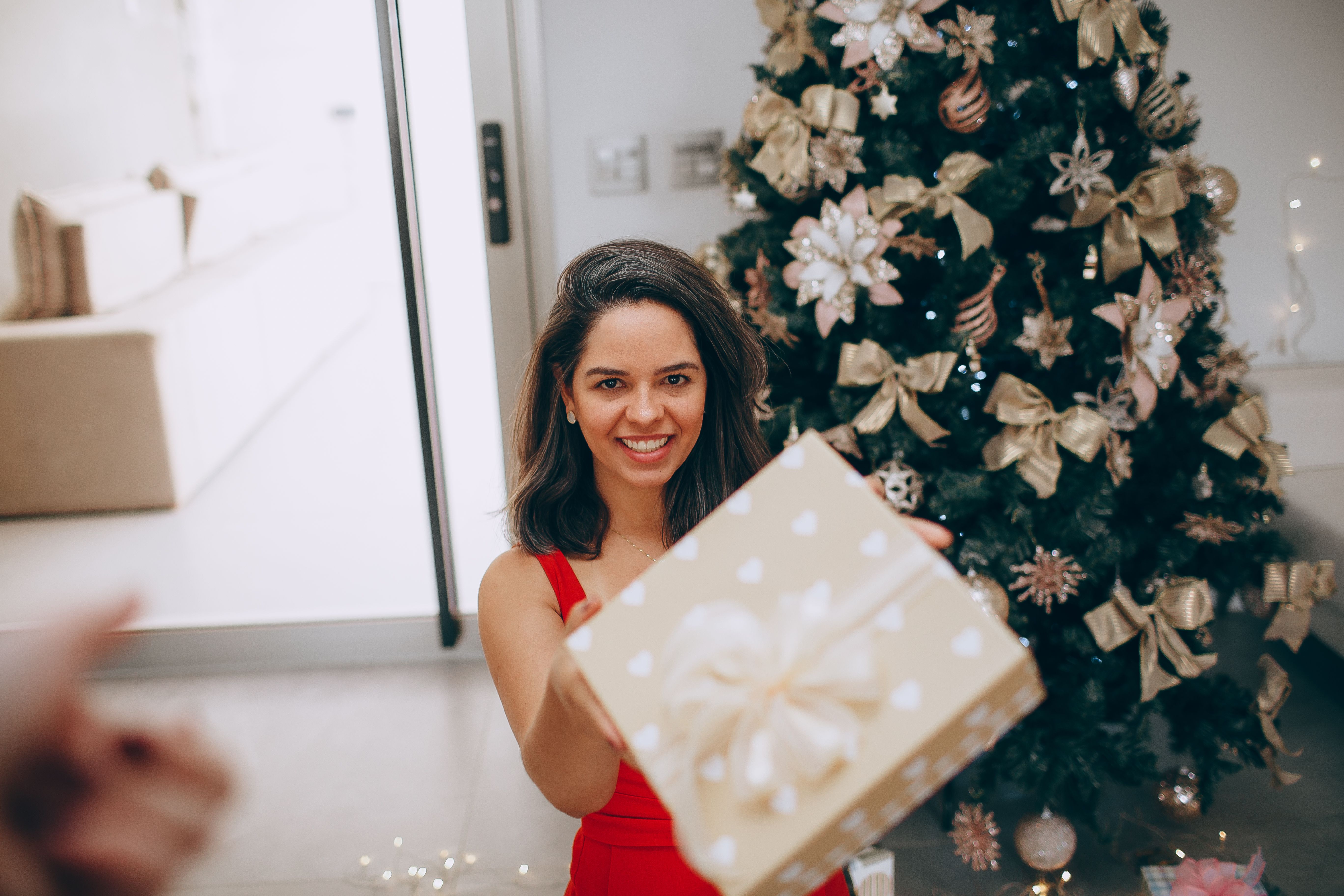 Christmas arrives at the White House. See photos, video of decor. — Photo by Helena Lopes on Pexels