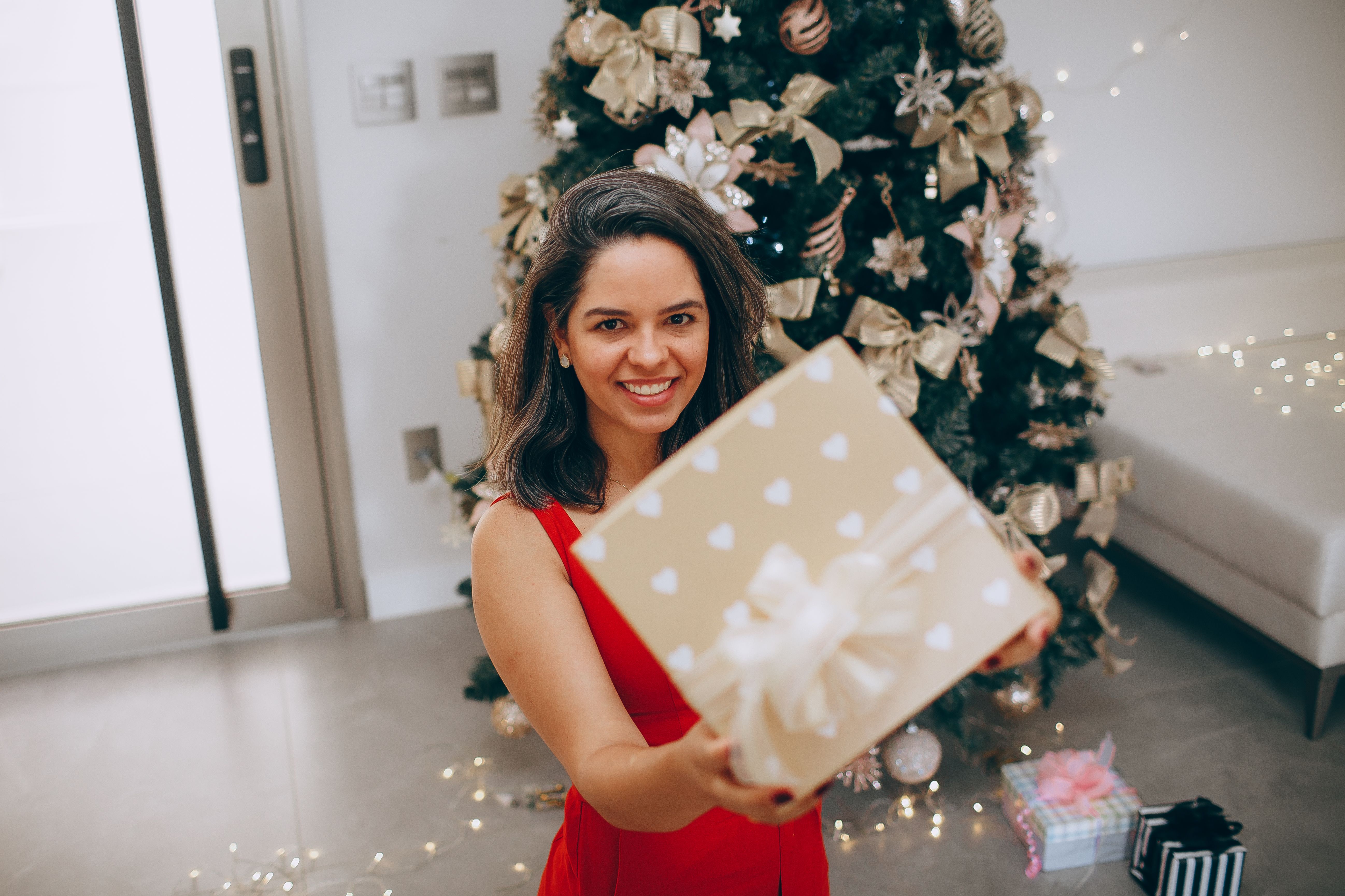 Woman Holding a Christmas Gift · Free Stock Photo