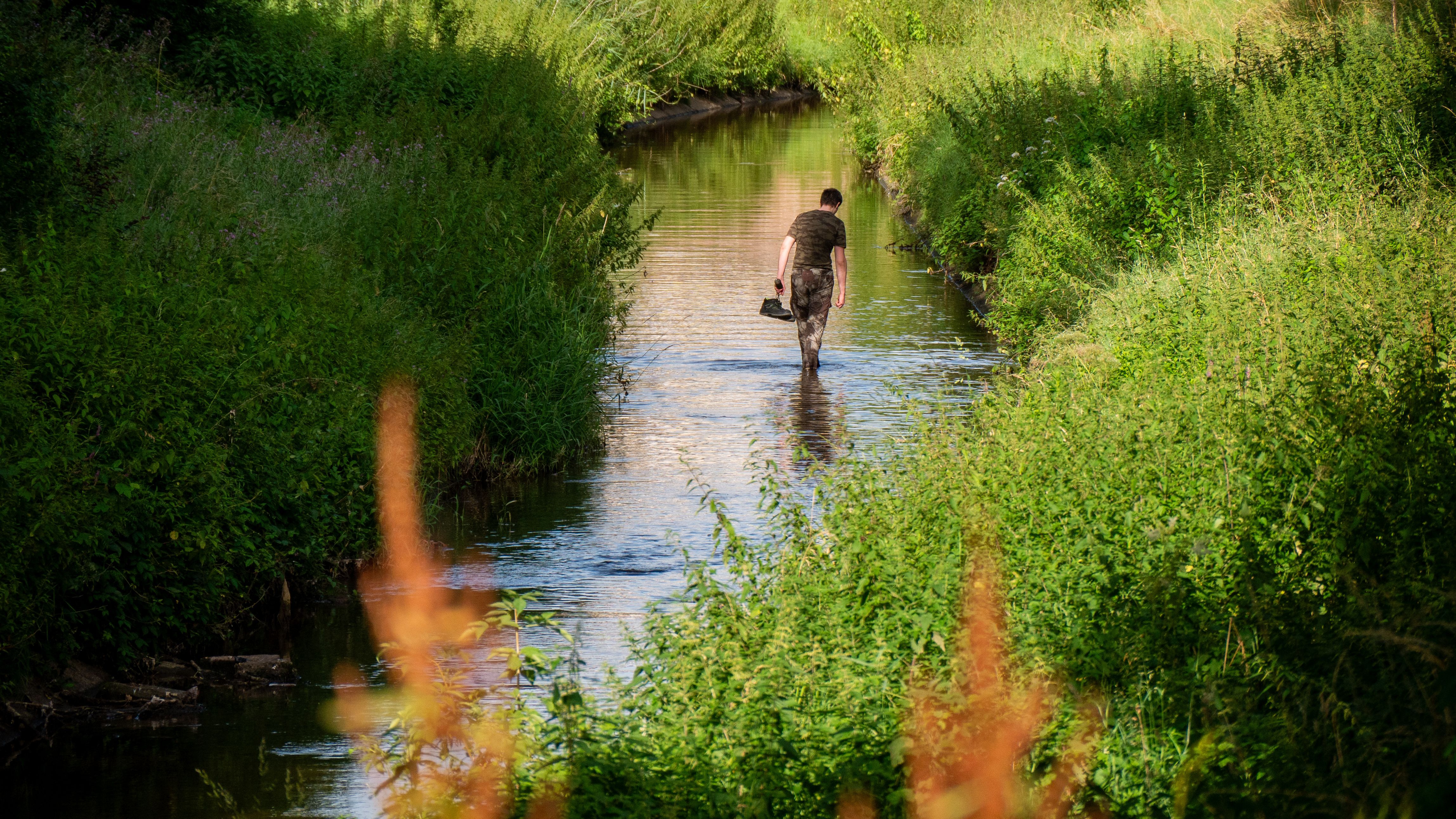 A man walking through a river surrounded by lush greenery in Hagenau, France.