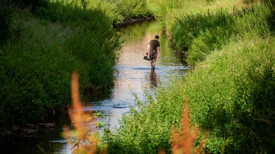 A man walking through a river surrounded by lush greenery in Hagenau, France.
