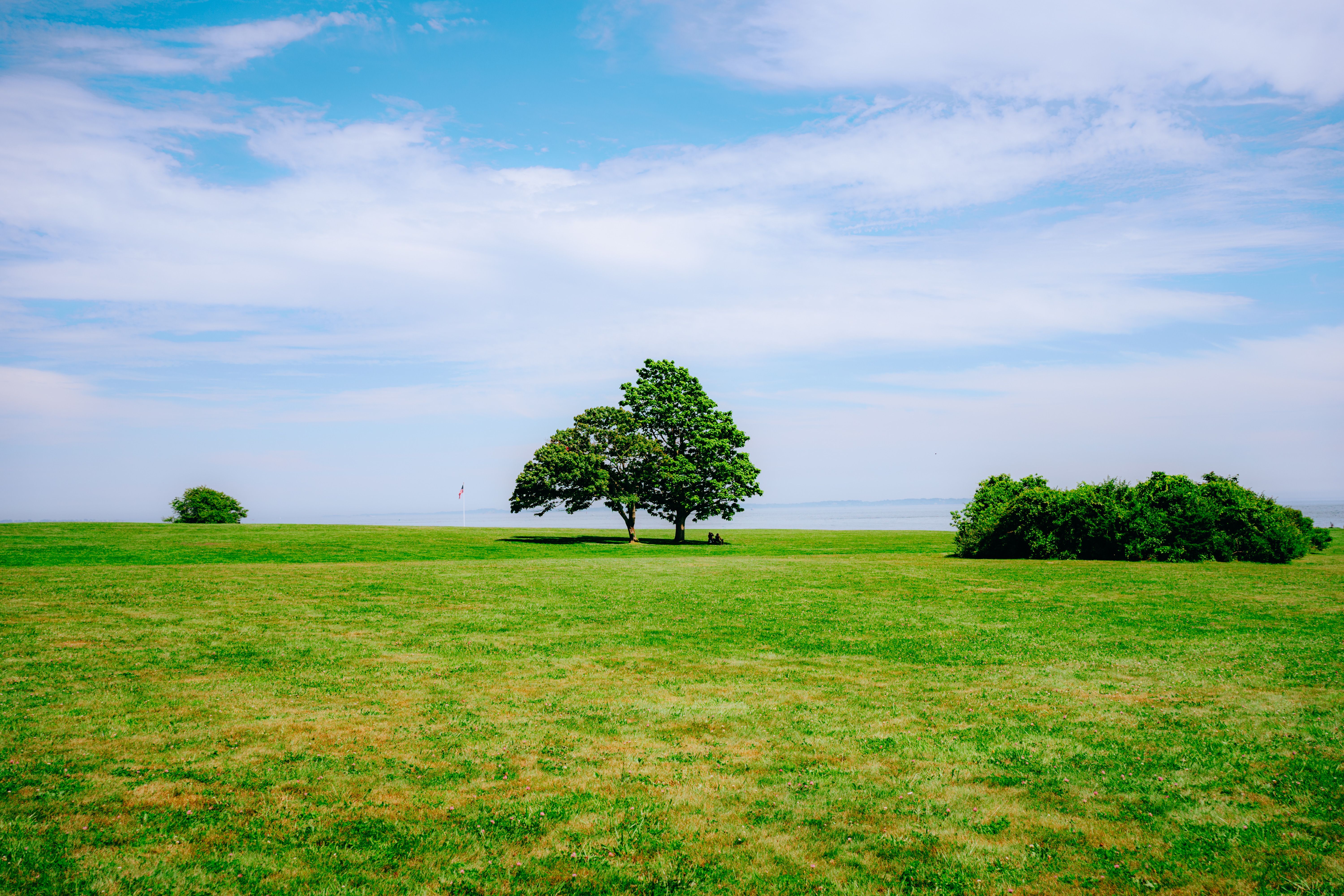 Green Grass Field With Green Trees Under Blue Sky · Free Stock Photo