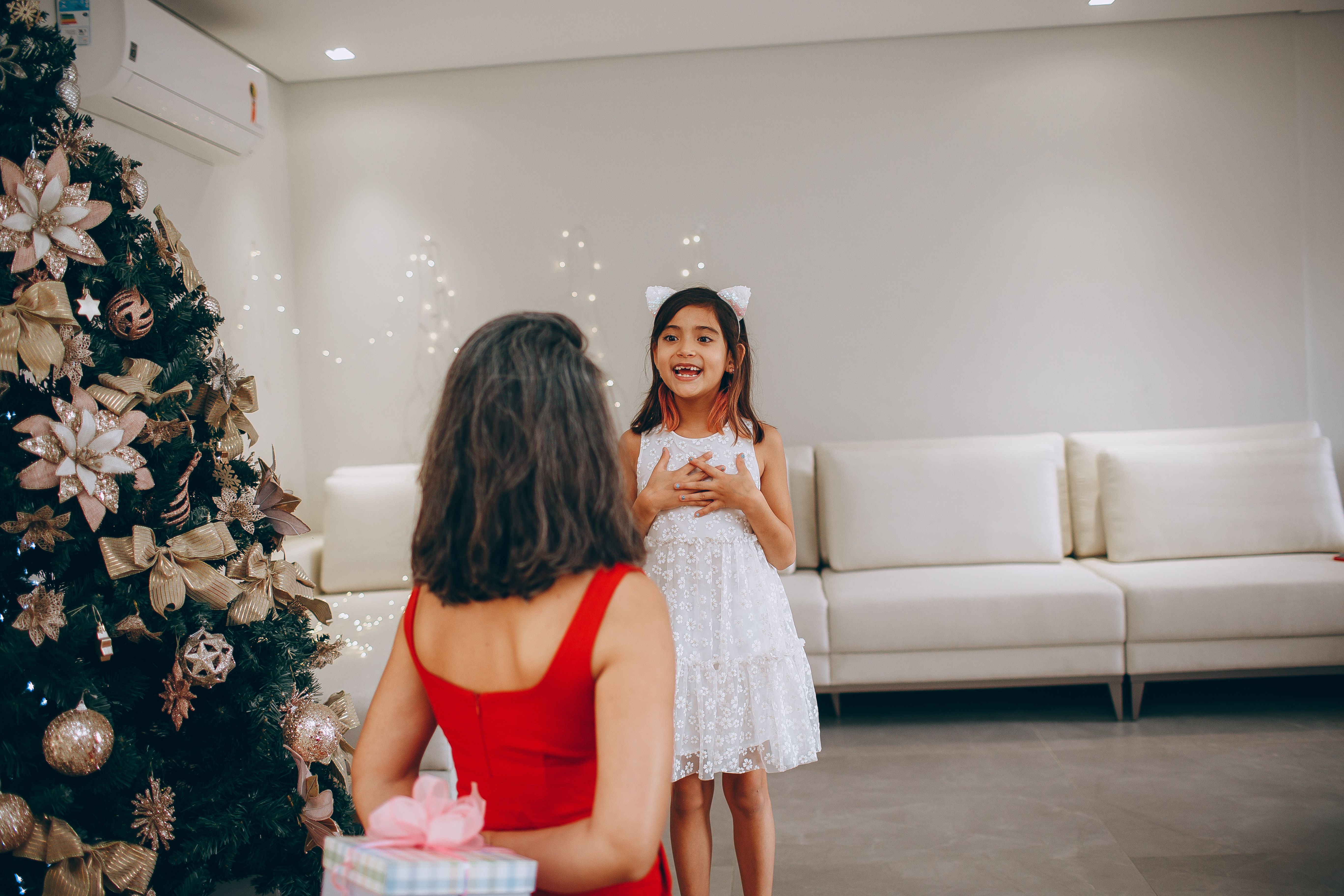 Christmas arrives at the White House. See photos, video of decor. — Photo by Helena Lopes on Pexels