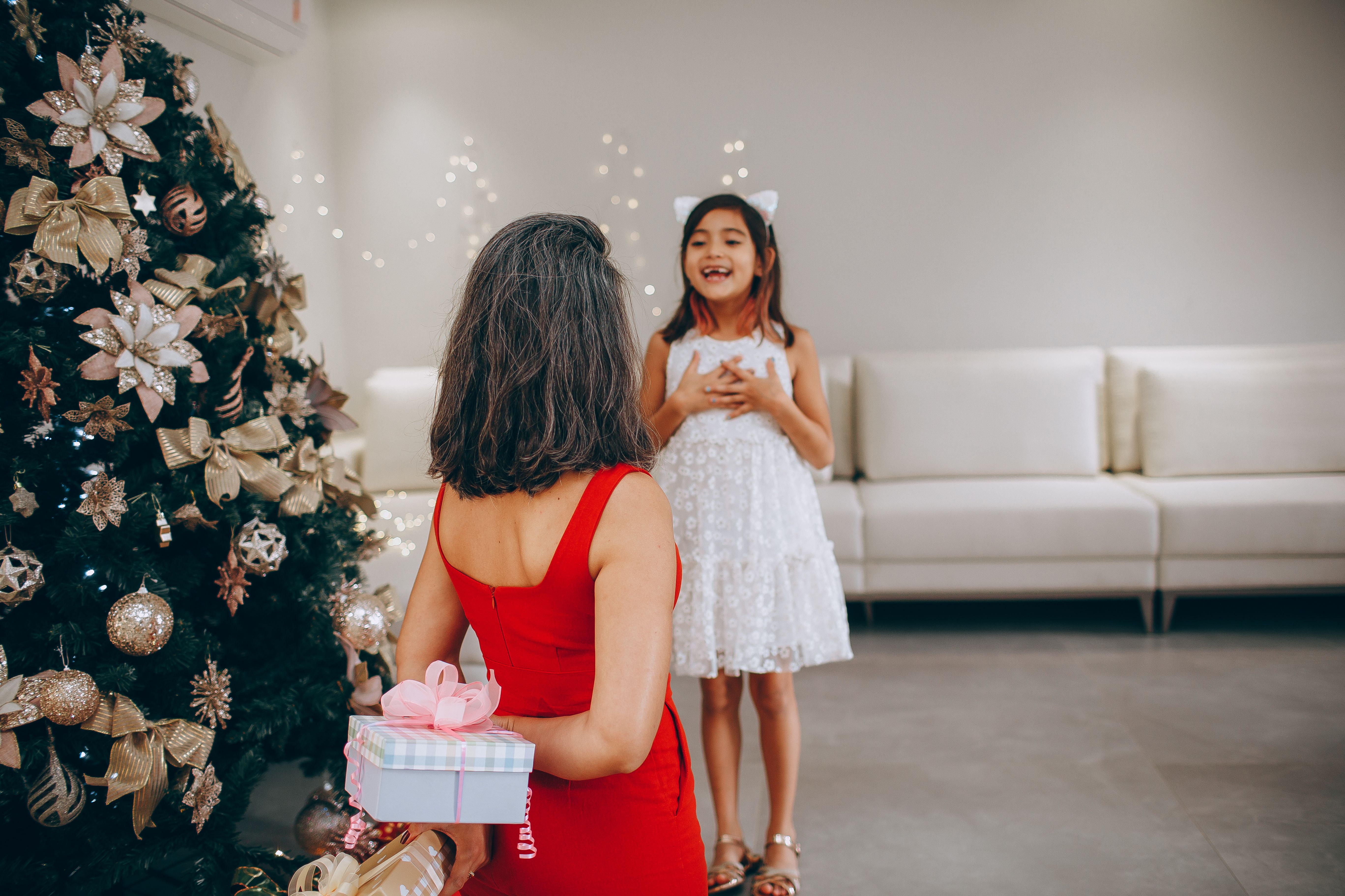 Christmas arrives at the White House. See photos, video of decor. — Photo by Helena Lopes on Pexels