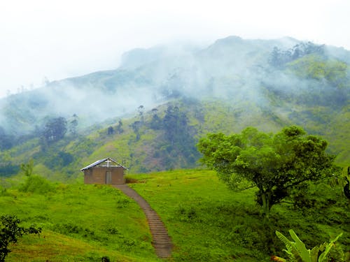 Free stock photo of church, fog, green