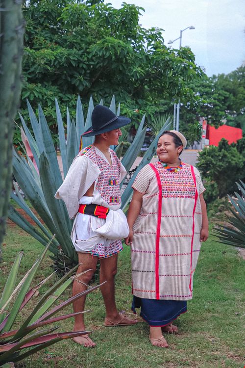 Free Two people in traditional Zapotec clothing standing among agave plants in Oaxaca, Mexico. Stock Photo