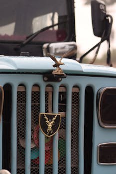 Detailed shot of a vintage vehicle's front grille and emblem captured in Naran, Pakistan.