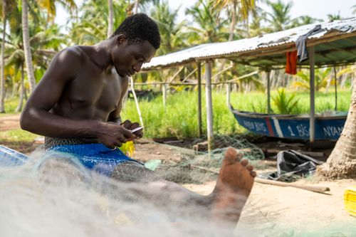 Free Shirtless young man repairing a fishing net on a tropical beach, surrounded by palm trees. Stock Photo