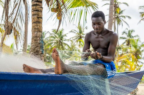 Free A shirtless man mends a fishing net on a blue boat under palm trees in a tropical setting. Stock Photo