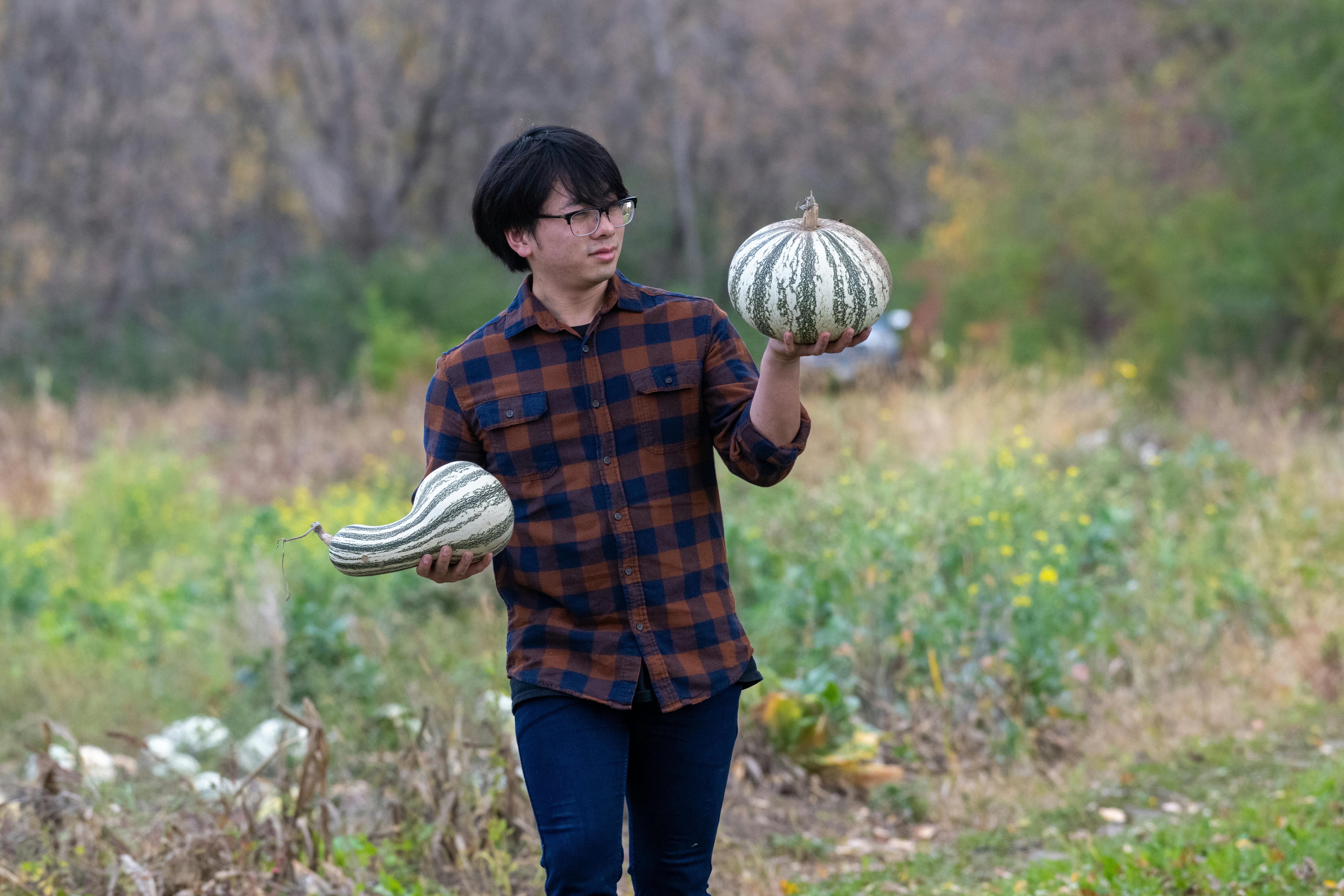 A vibrant display of autumn vegetables suitable for planting in Australian gardens during April, including leafy greens and root crops.