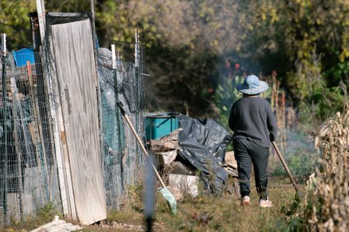 Free Person walking along a rural path beside a makeshift fence, capturing a calm countryside scene. Stock Photo