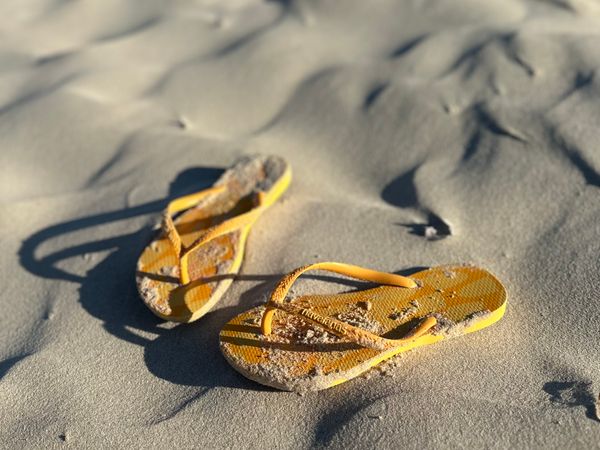 Seaside Flip-Flop