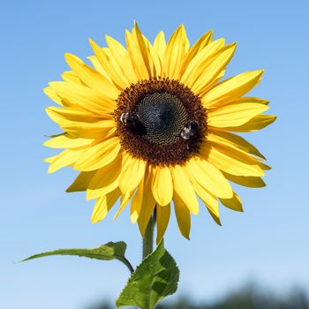 Set clear, realistic, and measurable goals