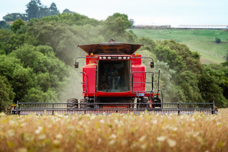 A red combine harvester in action during summer harvest in a lush green countryside.