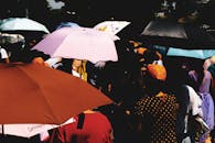 阳光明媚的日子里，人们在色彩缤纷的雨伞下，呈现出一派充满活力的景象