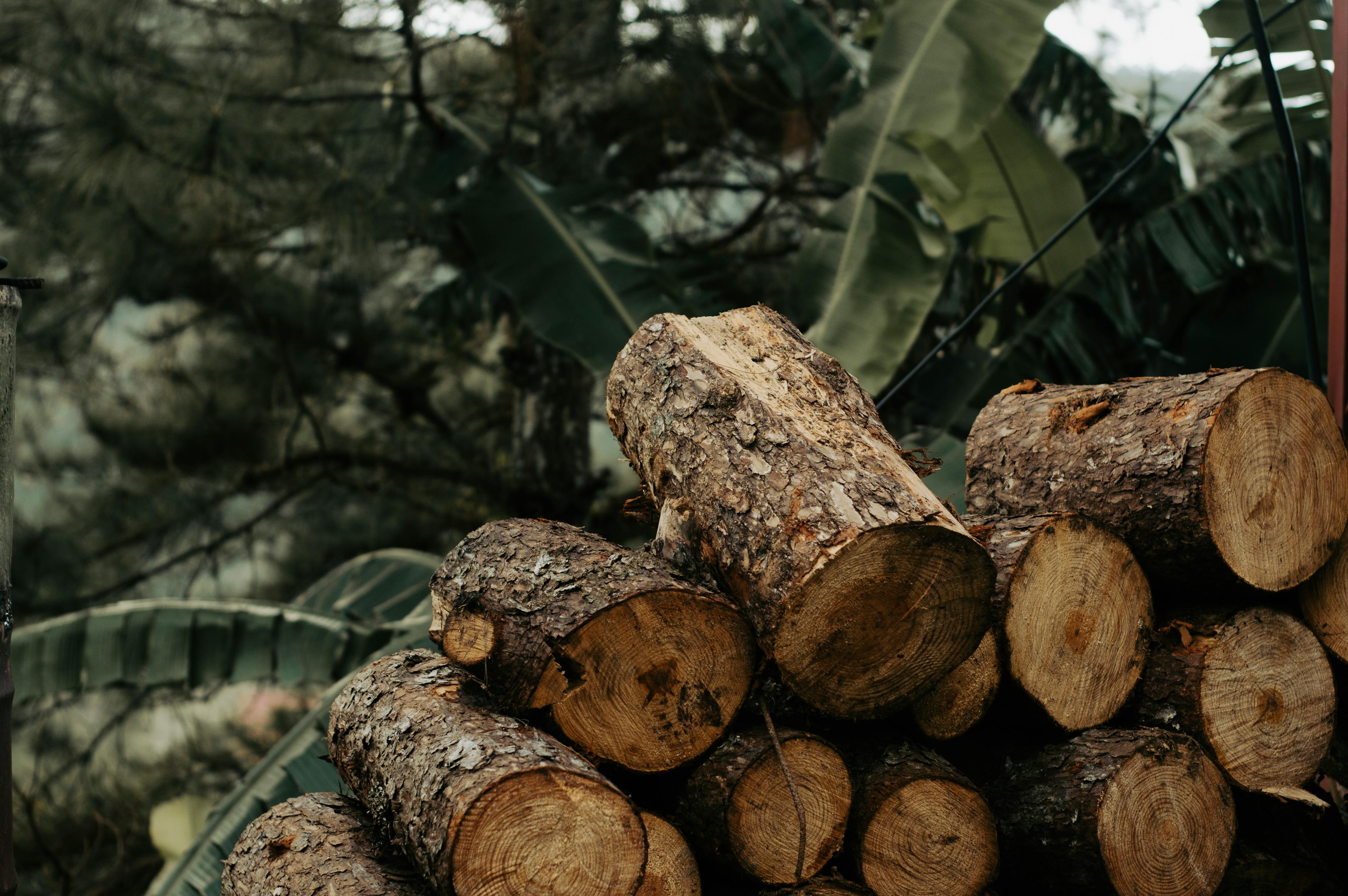 What Is a Drying Log and Why Does Your Technician Keep One?