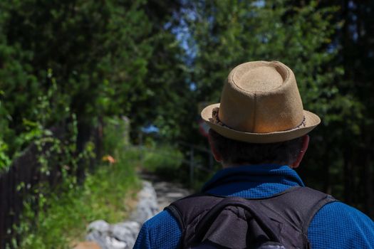Back view of a man hiking on a sunny day wearing a straw hat and backpack in a lush green forest.