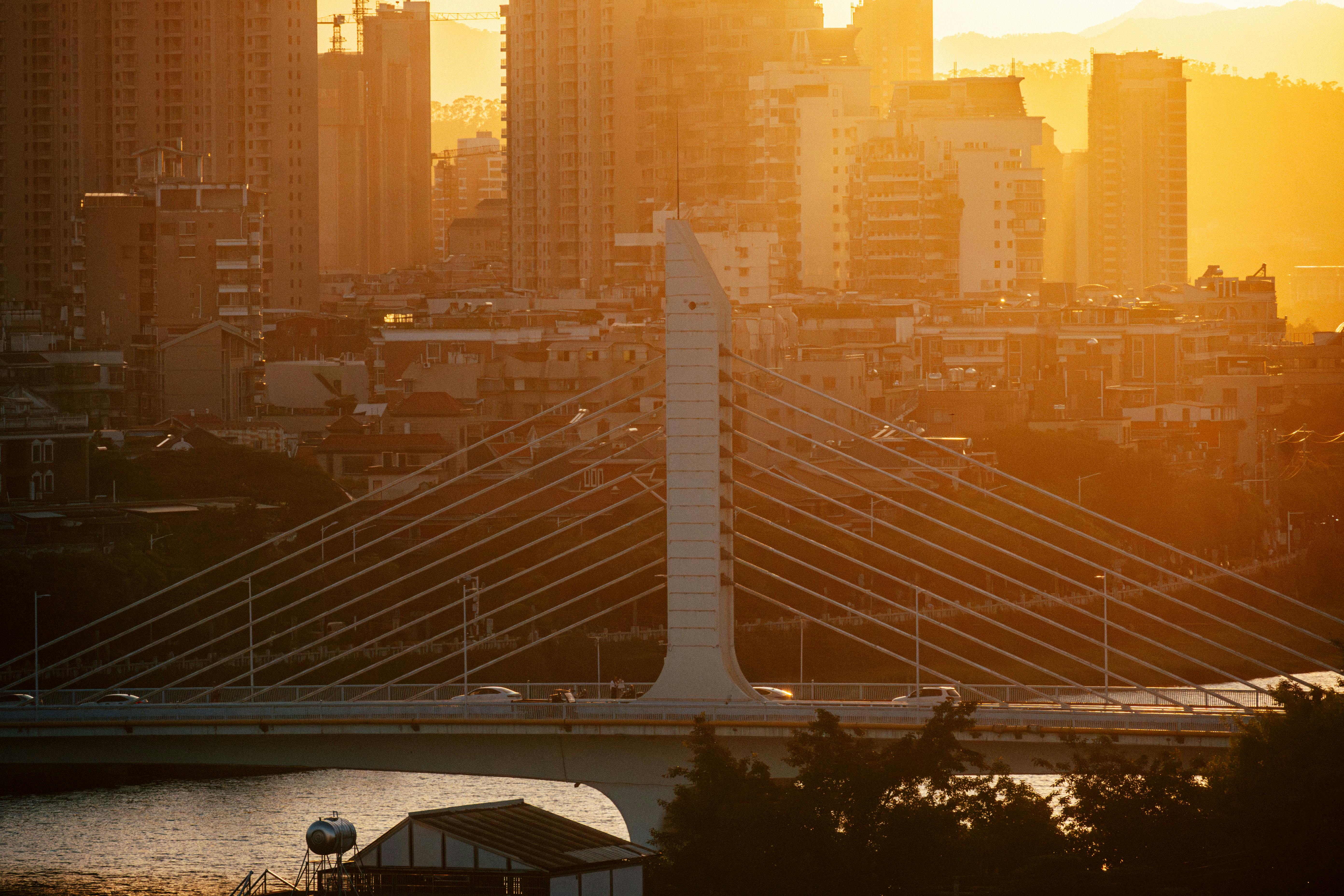 China's EV Energy Cap Explained — Photo by Bryanken on Pexels